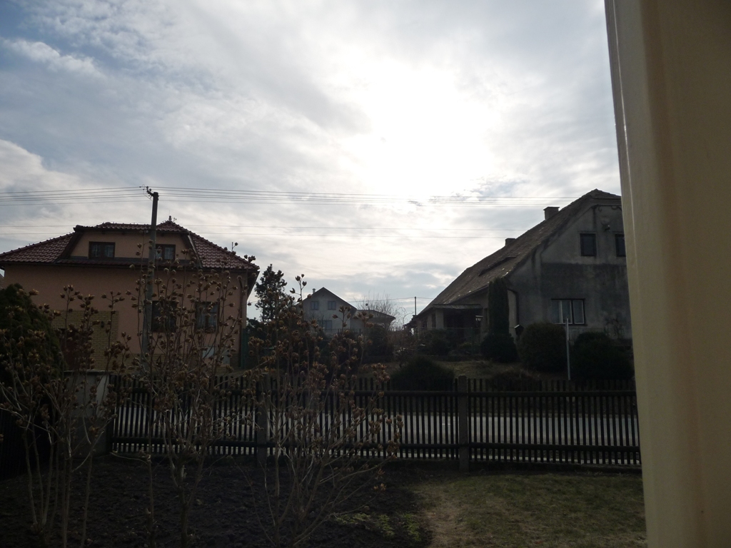 Třibřichy